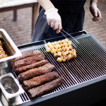 barbecue charbon grill 200 roshults